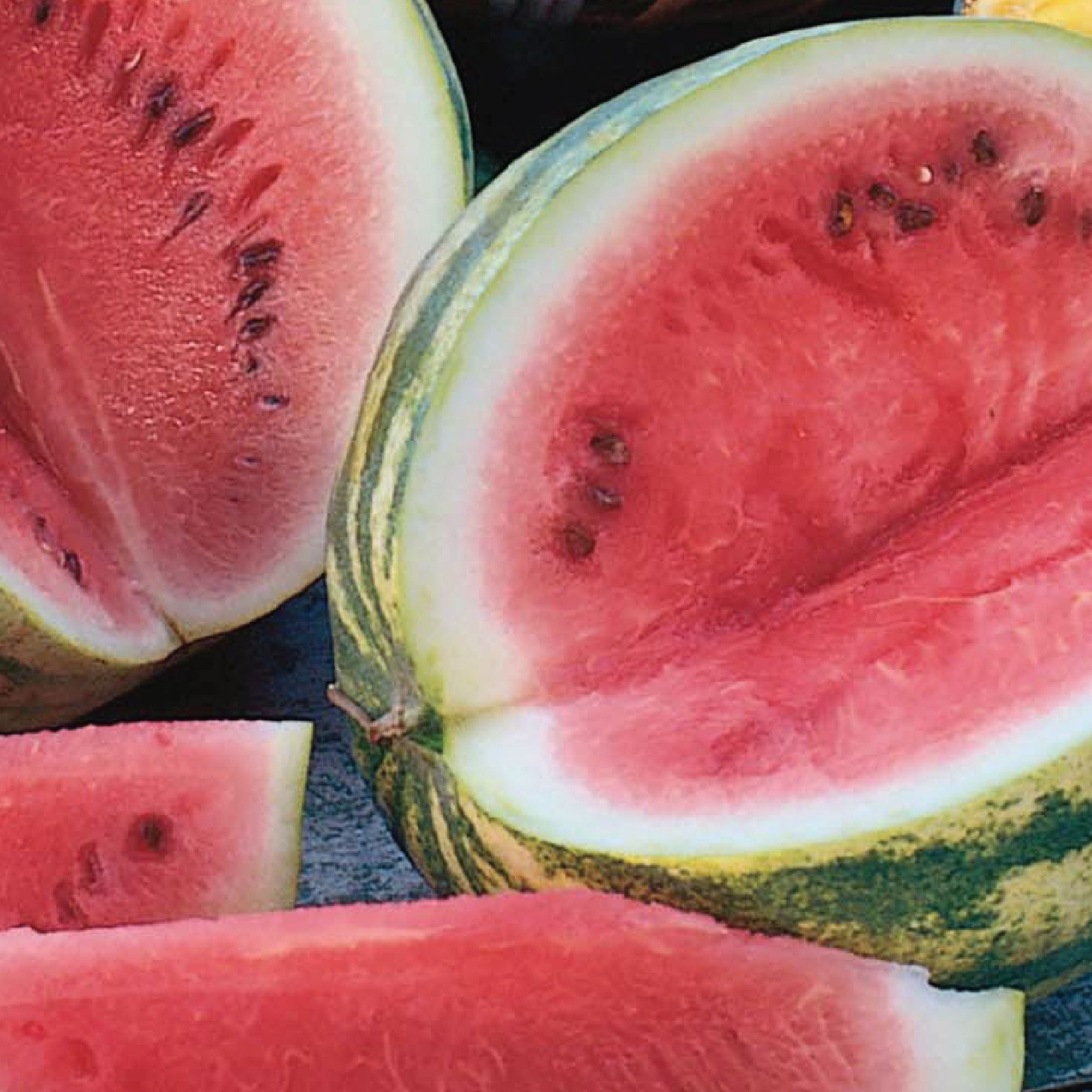 Ferry-Morse Watermelon variety images